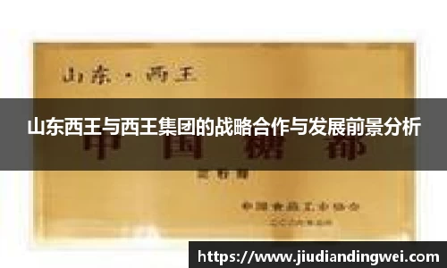 山东西王与西王集团的战略合作与发展前景分析